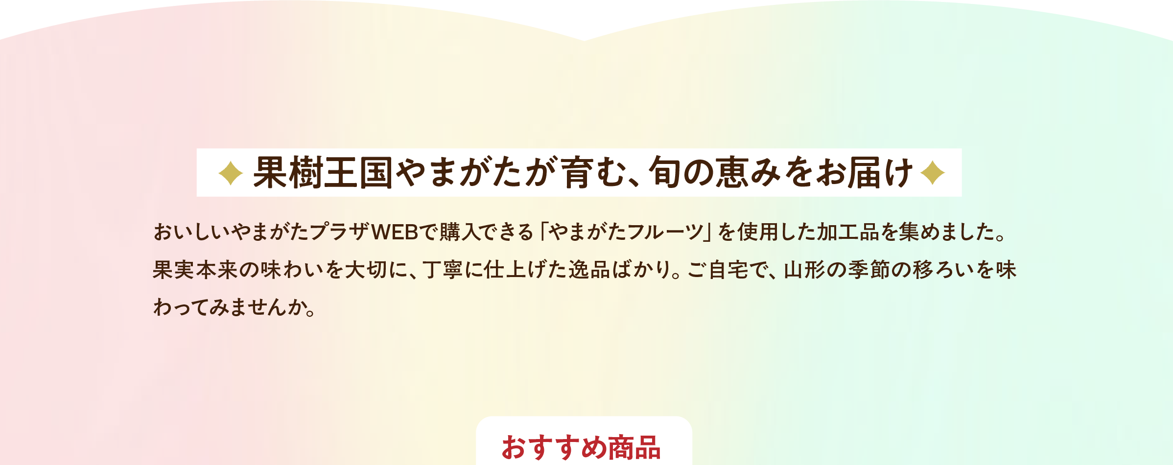 おすすめ商品
