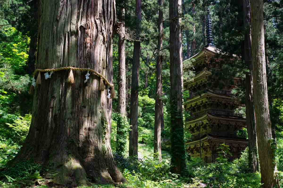 羽黒山五重塔