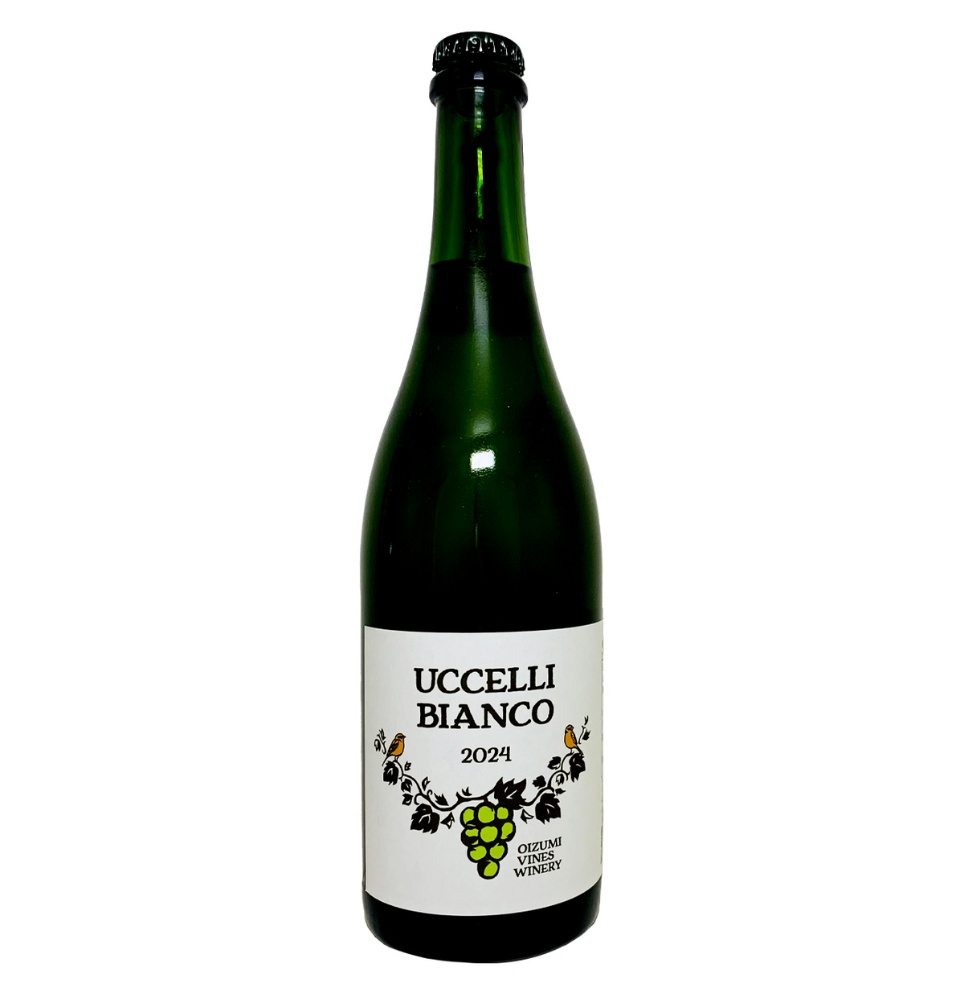 uccelli bianco 2024