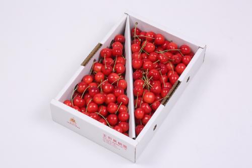 さくらんぼの王様”佐藤錦”バラ詰め1kg