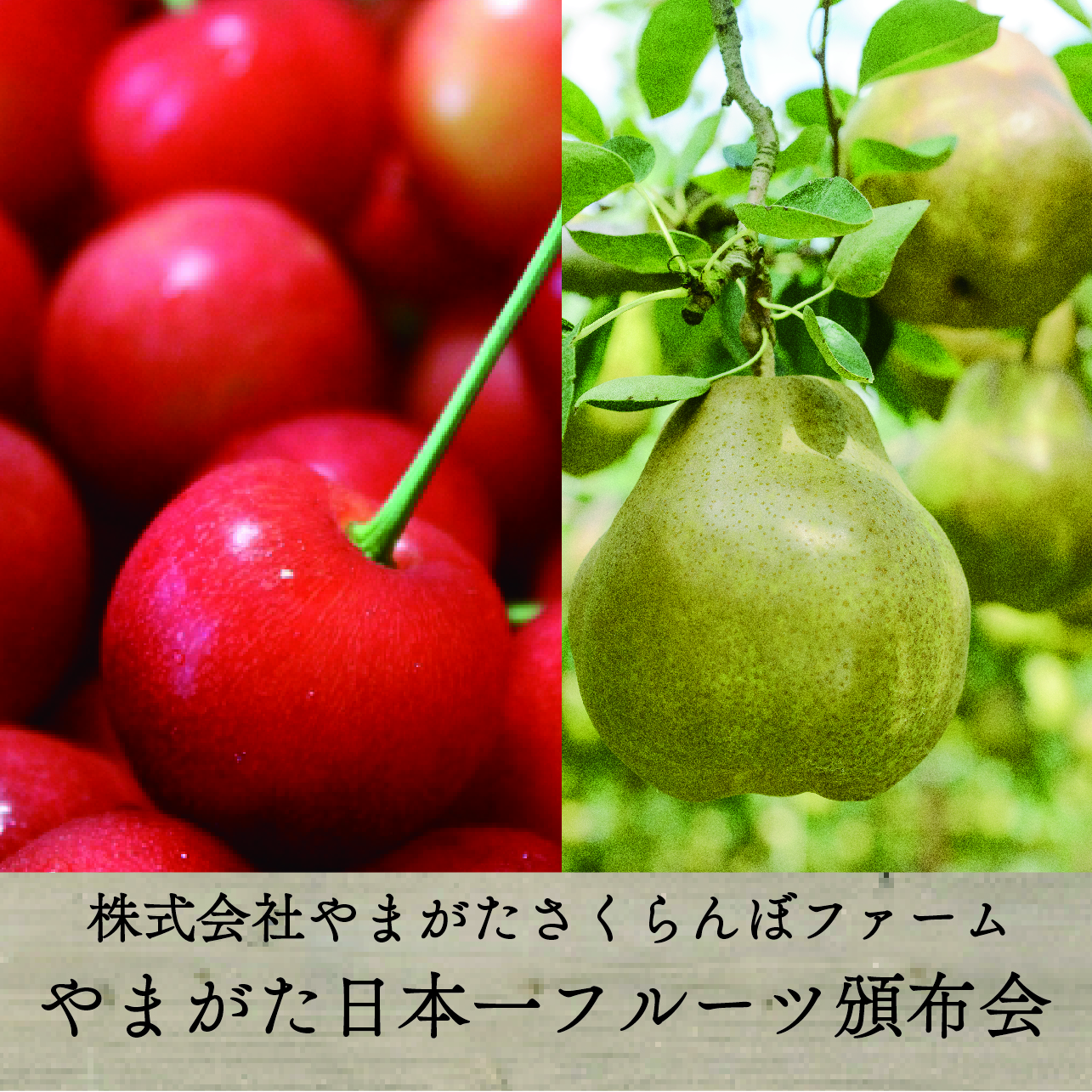 【くだもの定期便、送料込み】やまがた日本一フルーツ頒布会