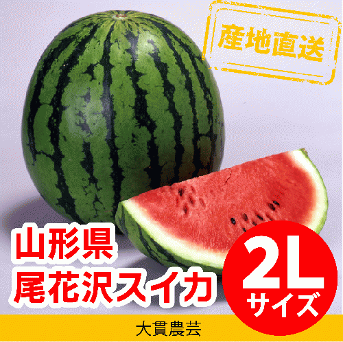 尾花沢すいか 2Lサイズ