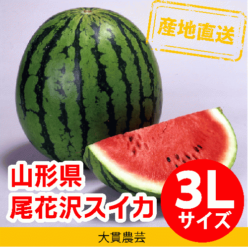 尾花沢すいか 3Lサイズ
