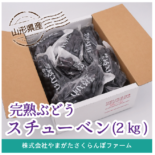 完熟ぶどう　スチューベン