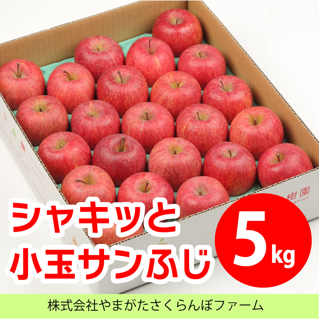 シャキッと小玉サンふじ5kg