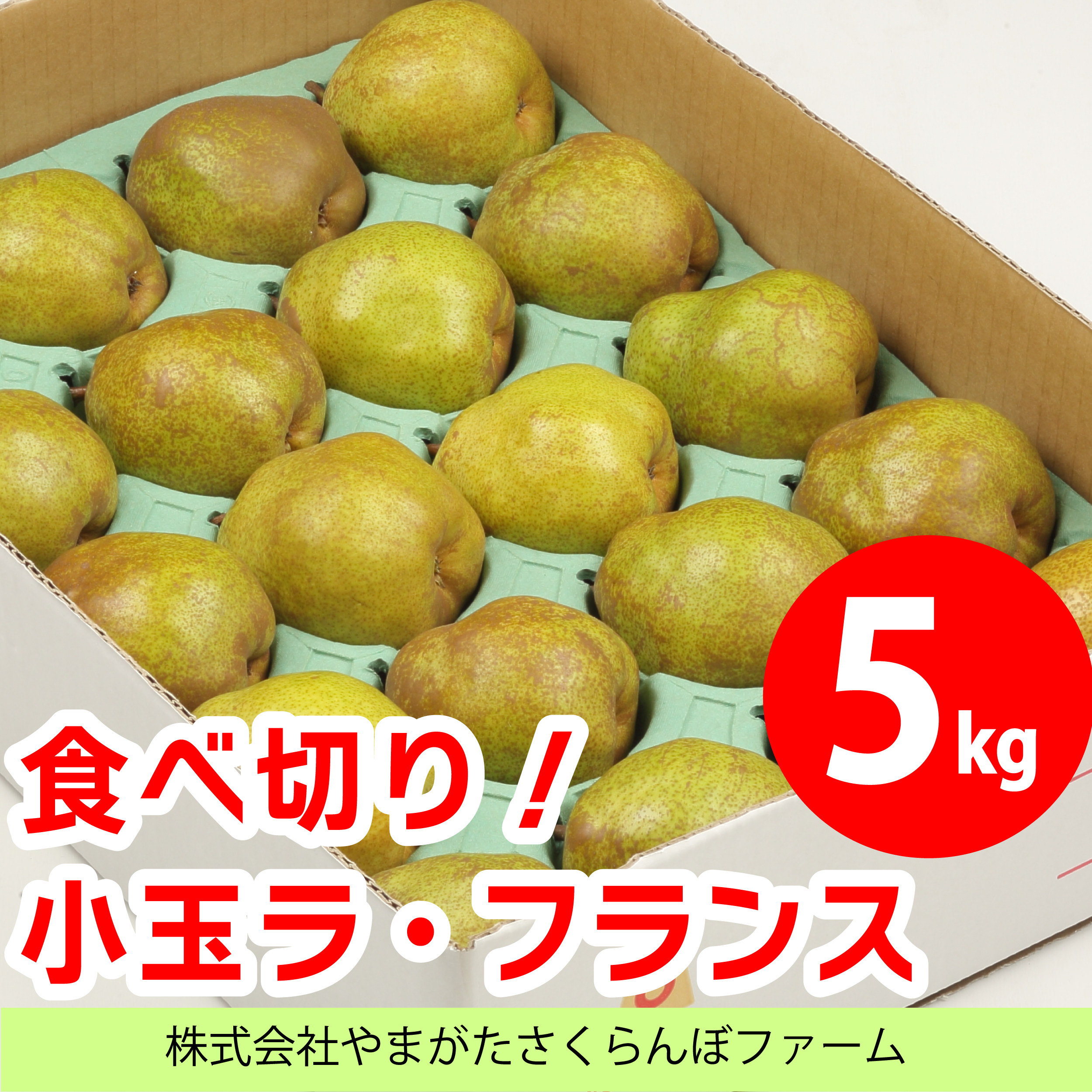 食べ切り!小玉ラ・フランス 5kg
