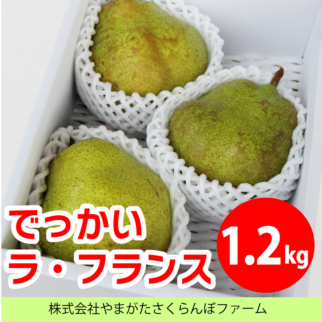 でっかいラ・フランス 1.2kg