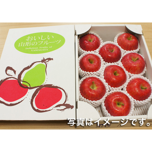 りんご サンふじ3kg化粧箱 9~10玉