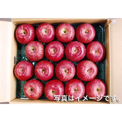 りんご サンふじ5kg 16玉