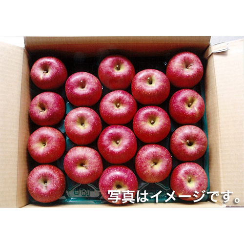 りんご サンふじ5kg 18玉