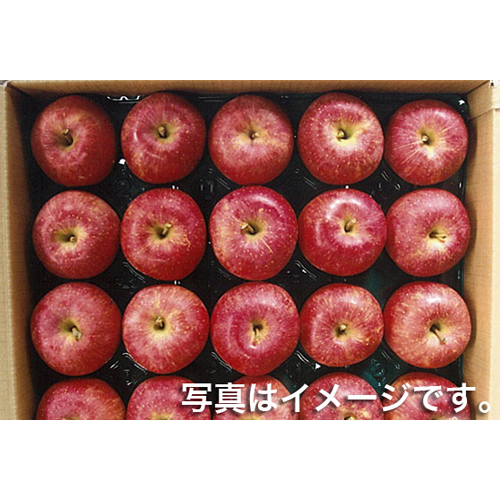 りんご サンふじ5kg 20玉