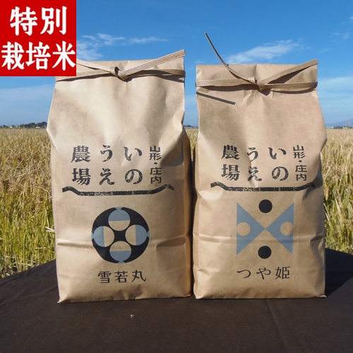 令和5年産 井上農場の特別栽培米 つや姫2kg 雪若丸2kg