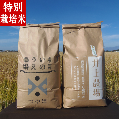 令和4年産 井上農場の特別栽培米 つや姫5kg 雪若丸5kg