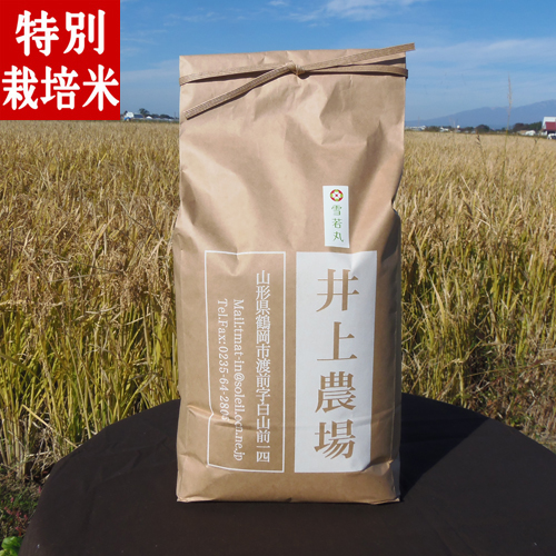 令和4年産 井上農場の特別栽培米 雪若丸5kg