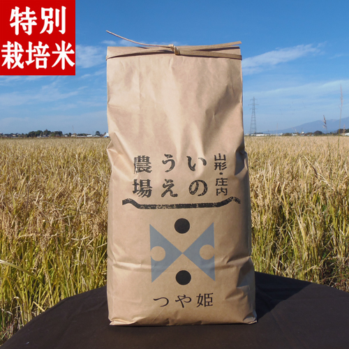 令和5年産 井上農場の特別栽培米 つや姫5kg
