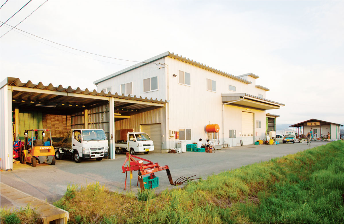 100%井上農場産、精米まで自社で行っています。