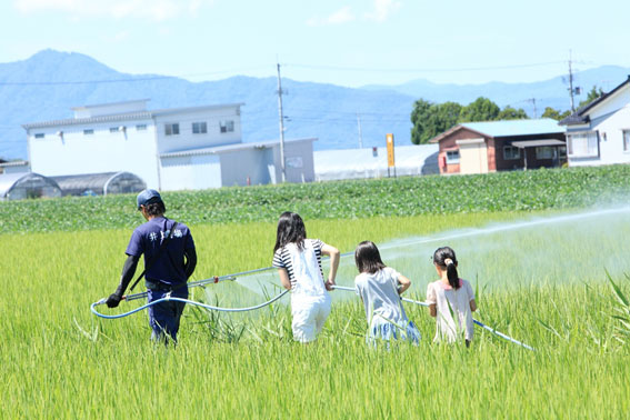 おいしい米づくりのために　すべて特別栽培米