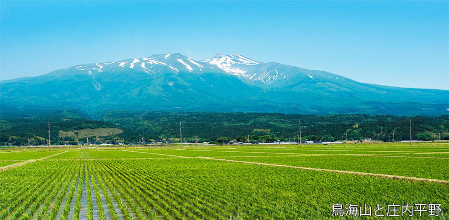 鳥海山と庄内平野