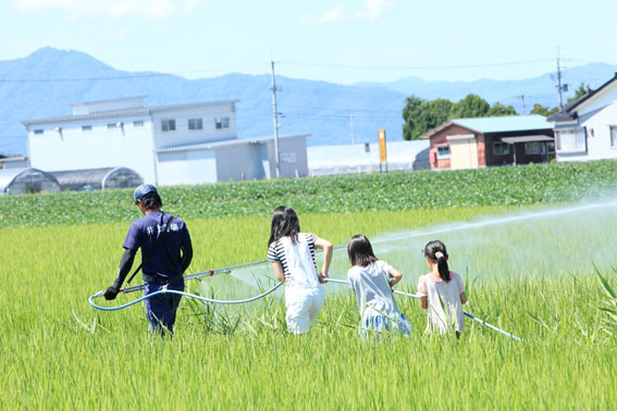 おいしい米づくりのために　すべて特別栽培米