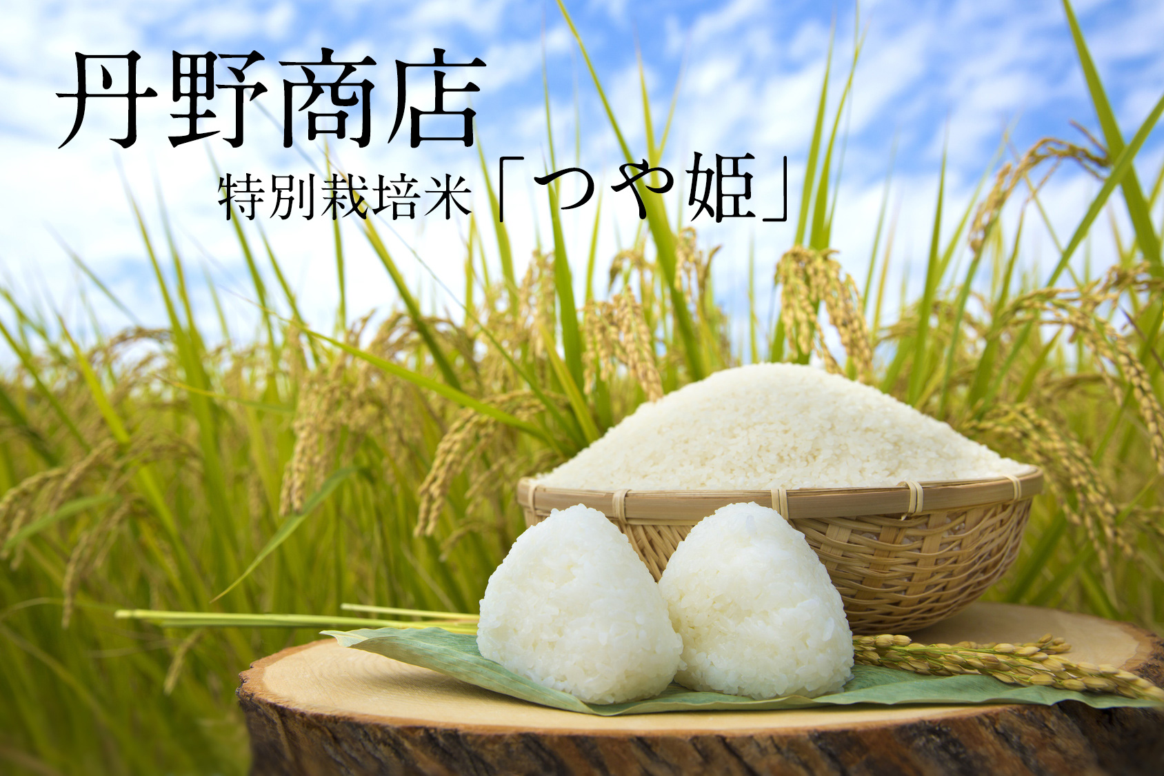 丹野商店 特別栽培米「つや姫」